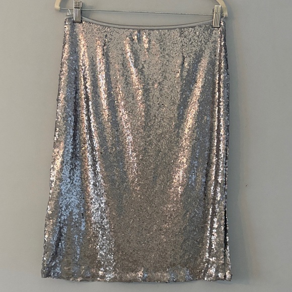 Elegant Silver Sequin Skirt Set - Picture 6 of 9